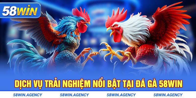 Dịch vụ trải nghiệm nổi bật tại Đá gà 58Win