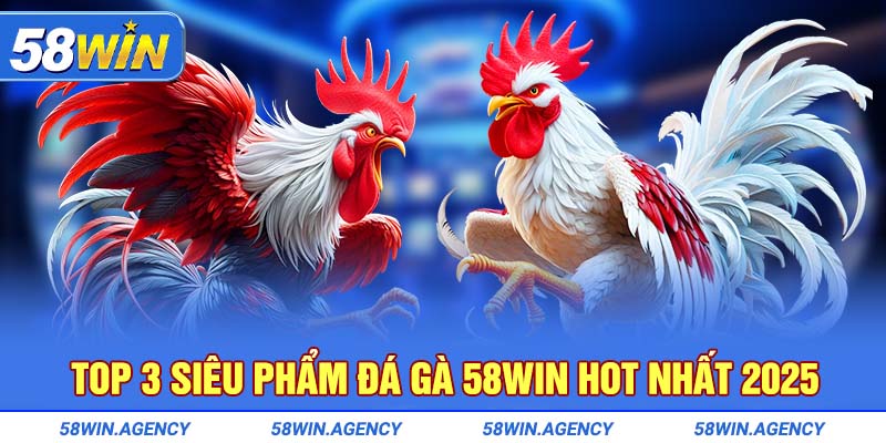 Top 3 siêu phẩm đá gà 58Win hot nhất 2025