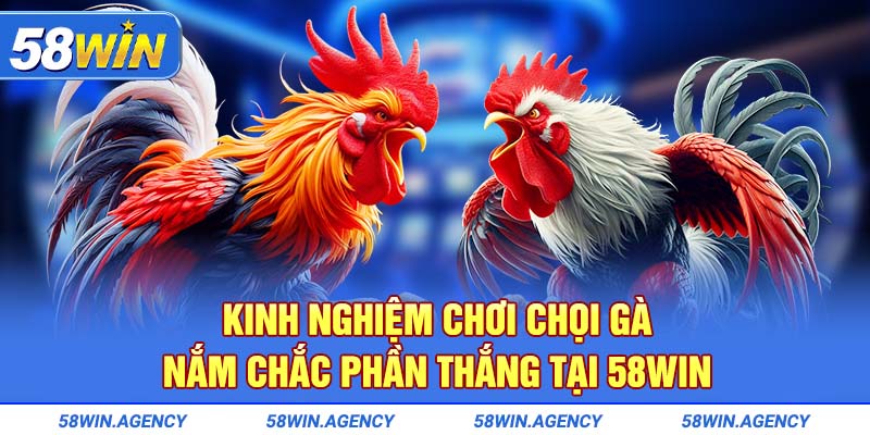 Kinh nghiệm chơi chọi gà nắm chắc phần thắng tại 58Win